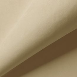 Велюр  Аиша компаньон - AY1-6B - Обивочная ткань Аиша компаньон